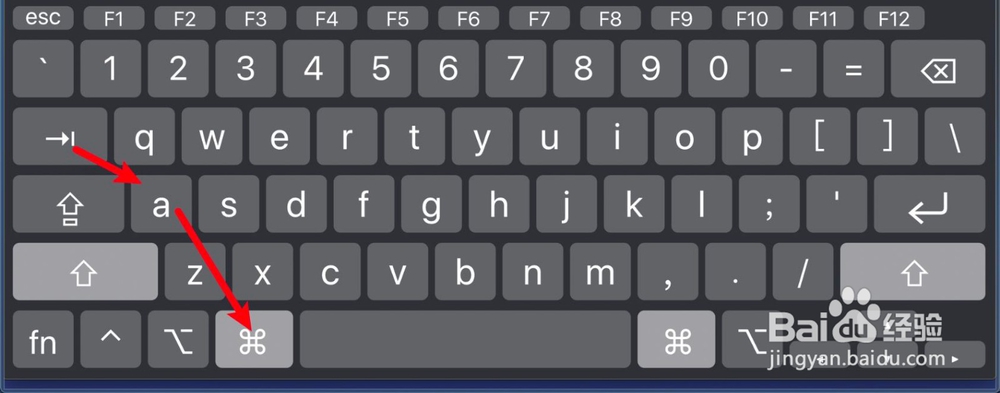 mac系统中word中怎样快速转到文档末尾