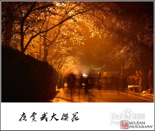 历史名校武汉大学赏樱游记攻略
