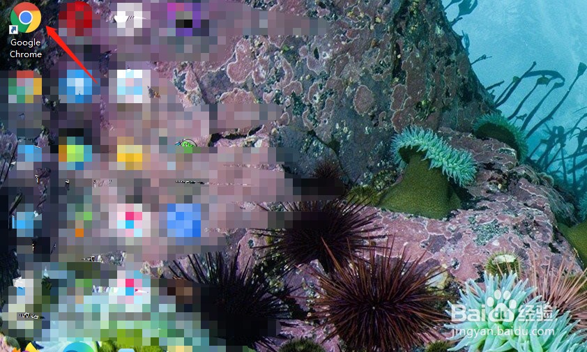 谷歌浏览器怎么查看以前登录的网站的账号密码