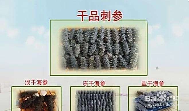 海参如何辨别好坏