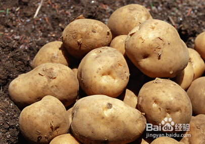 吃蔬菜有哪些要注意的问题？