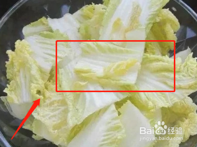 白菜粉条素包子咋做香