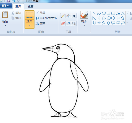 用电脑画企鹅简笔画