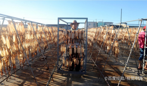 鱿鱼脖怎么清理干净