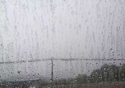 一场大雨过后,怎么怎么的被什么什么的被什么什么被什么什么的快要什么什么的