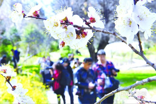 春天到了,老人小孩如何预防感冒,如何养生