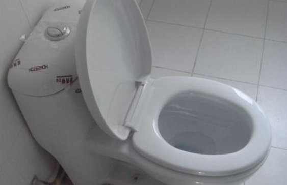 骨头堵住马桶要多久才会腐烂