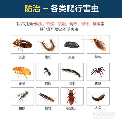 如何杀盆土里的小蜈蚣