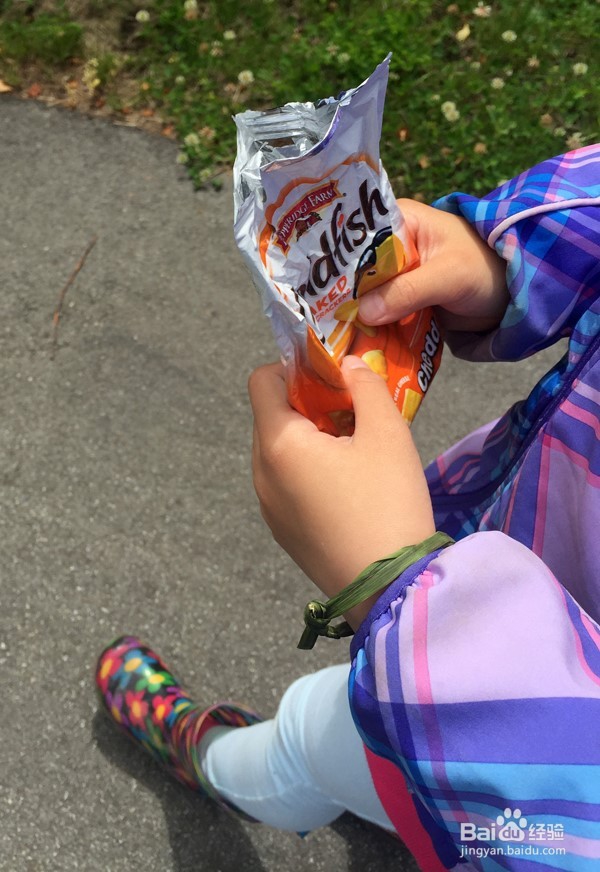 温哥华自然公园学校郊游活动