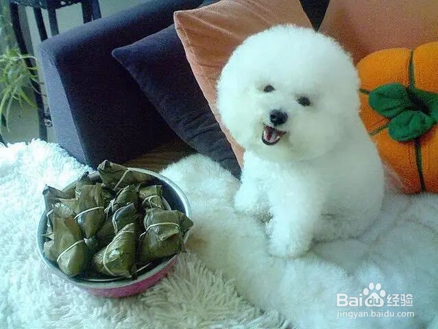 狗狗吃了粽子怎么办