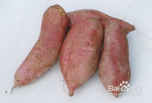 柿子的禁忌搭配