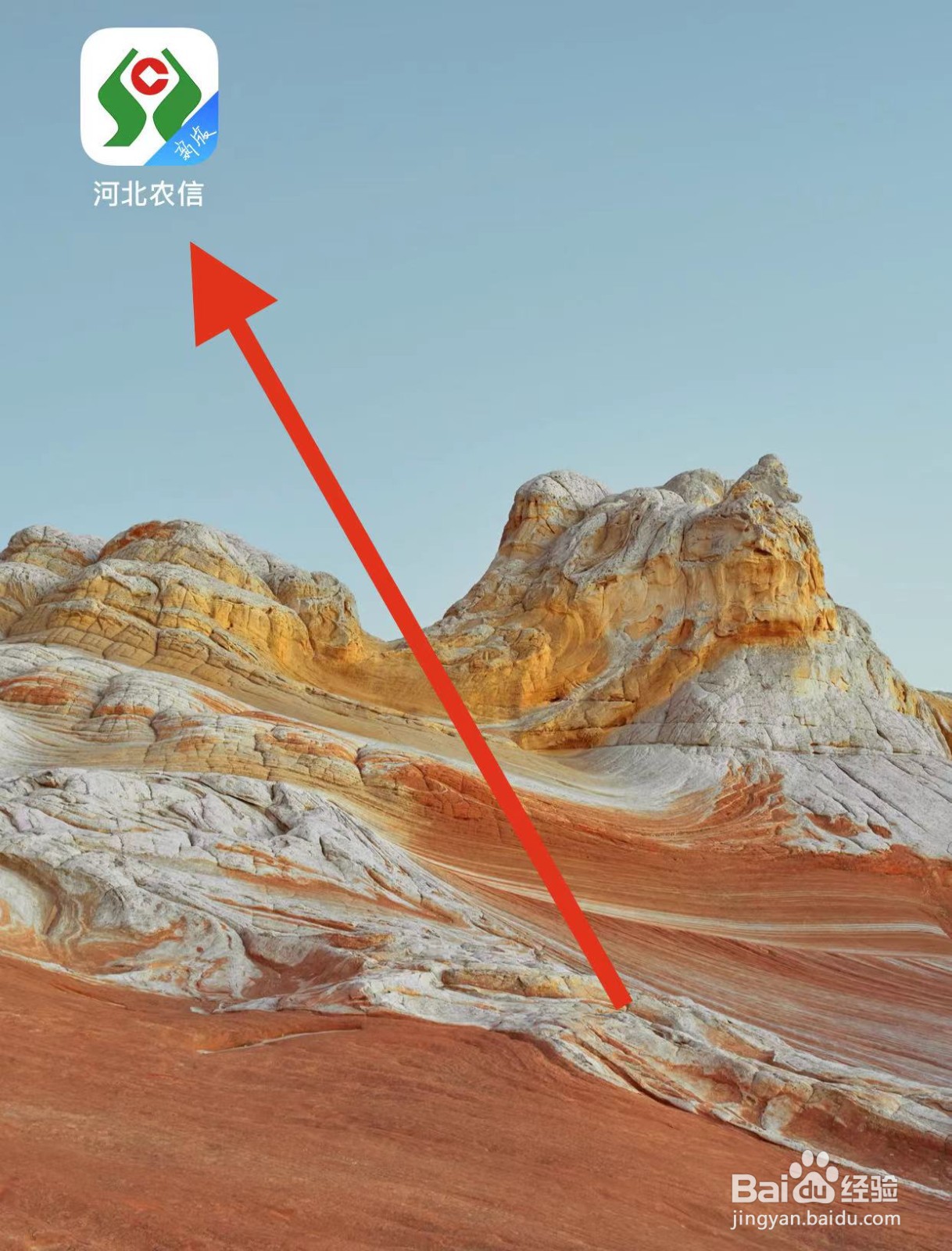 河北农信如何查看卡片管理？