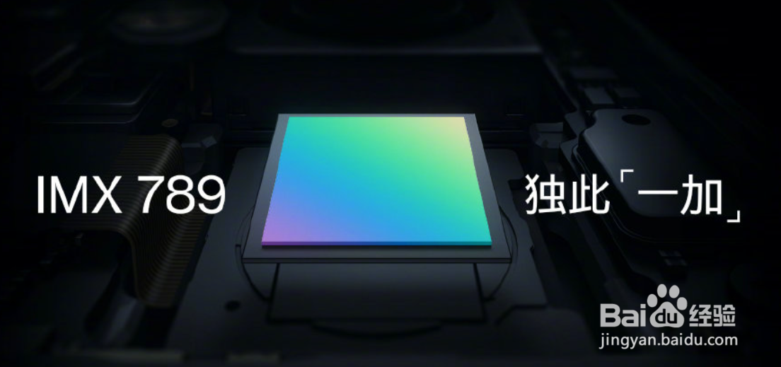 一加9 Pro拍照怎么样?影像实力圈粉无数