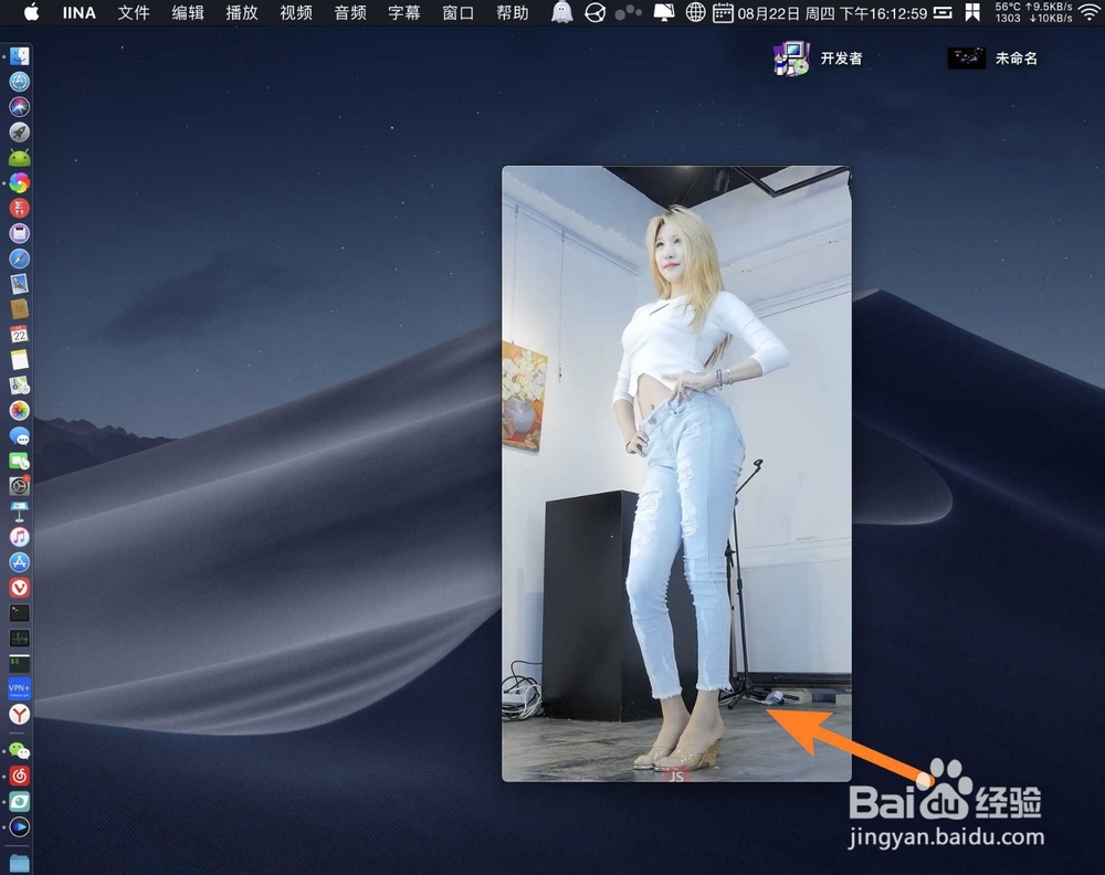 iina播放器怎么用