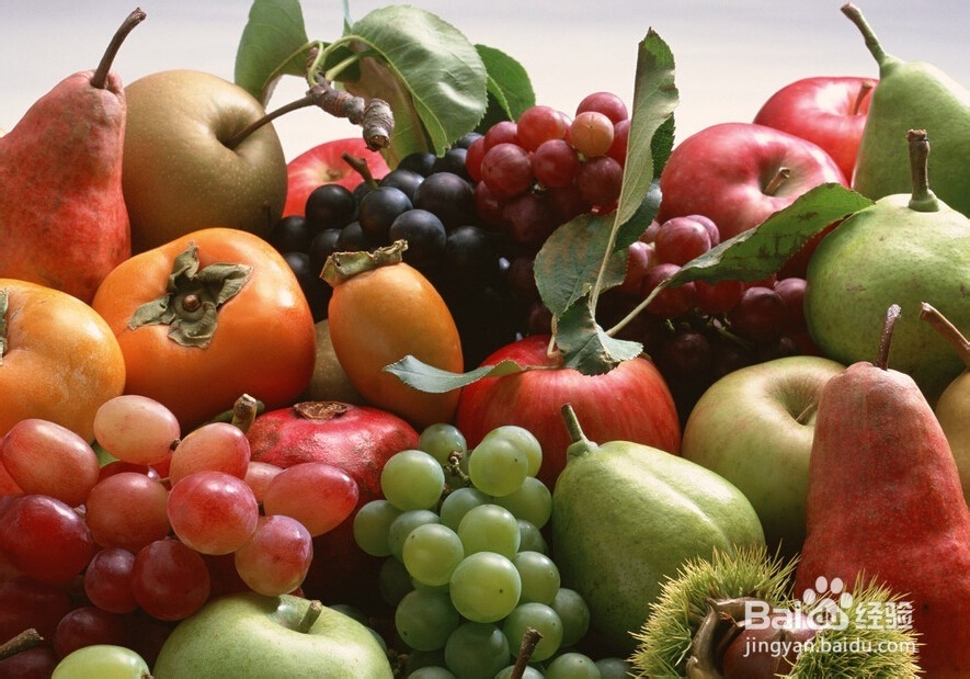 痛风吃什么食物最好