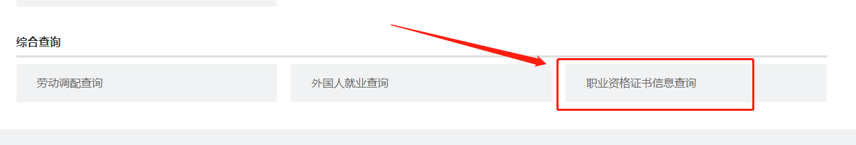 怎么在网上查询个人职业资格证书信息