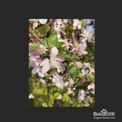 增加图片图像阴影的浓度突出图像