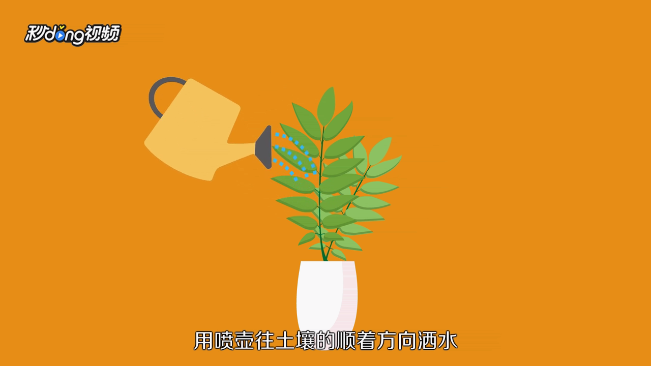 发财树怎么养