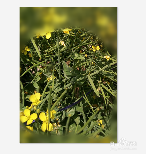 如何用美图秀秀修照片