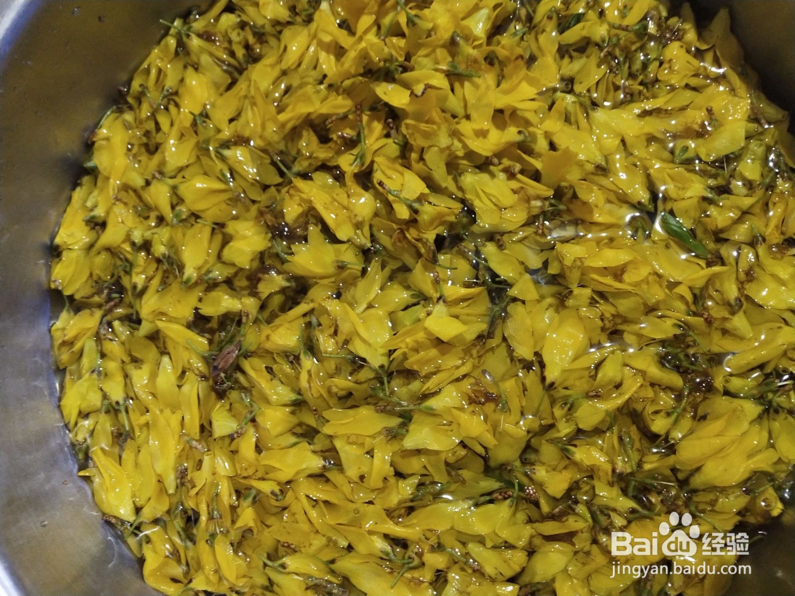 连翘花煎饼的做法
