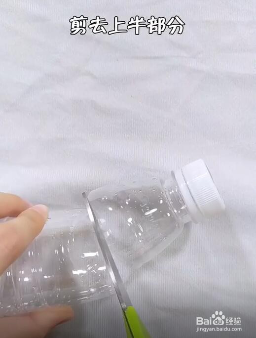 教你如何去除家中蟑螂