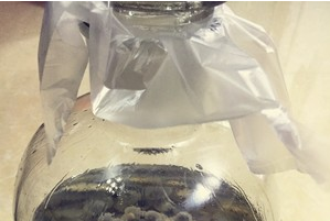 新鲜桂圆泡酒的做法