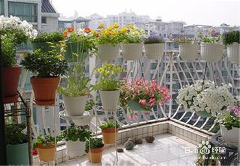 如何给盆花松土？