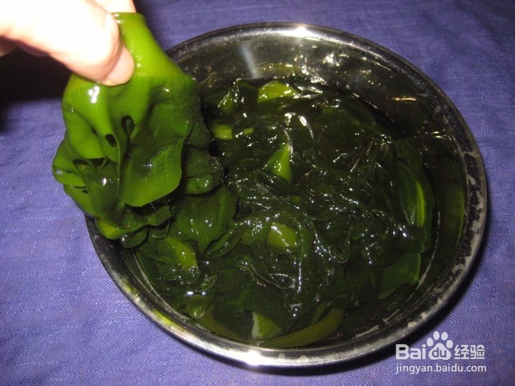 海菠菜的做法