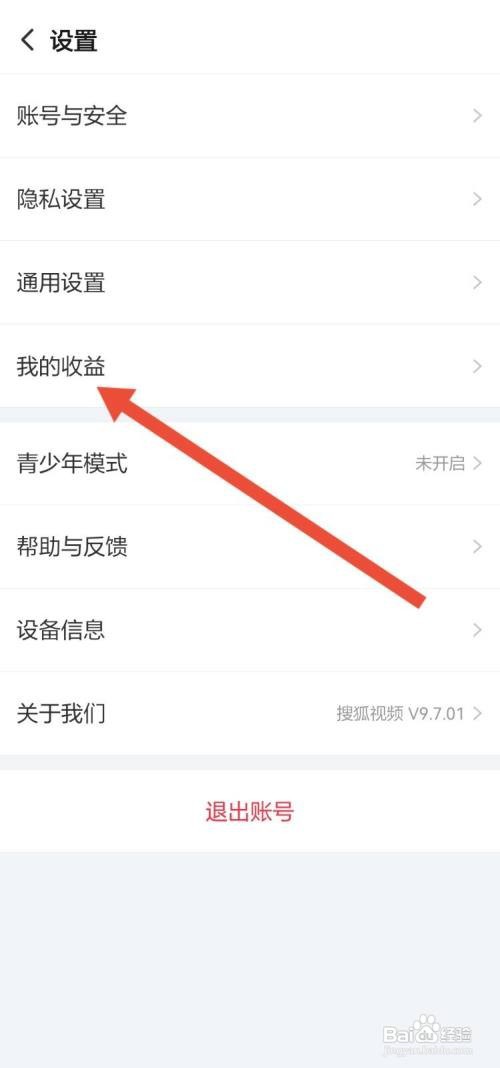 怎么看搜狐视频的收益