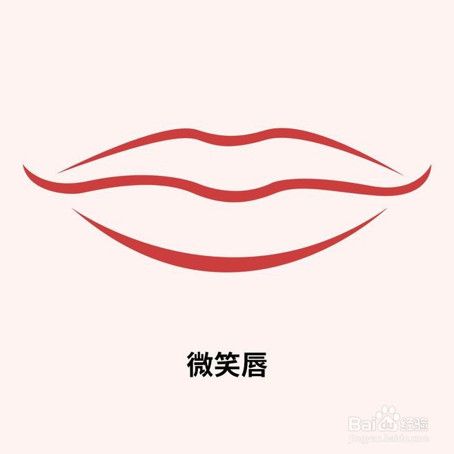 嘴唇类型图片