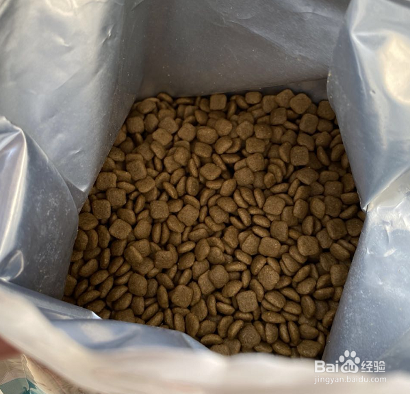 如何挑选一款好狗粮
