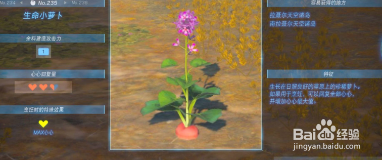 王国之泪野菜在哪收集
