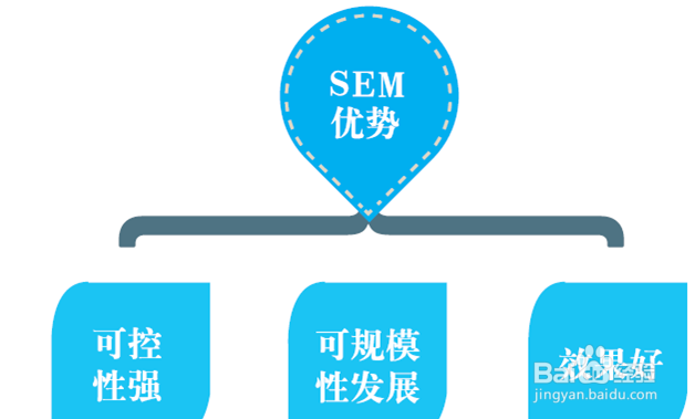 嬴铮SEM分析账户