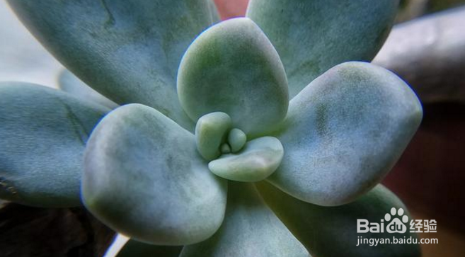 有哪些摄影后期处理App值得推荐？