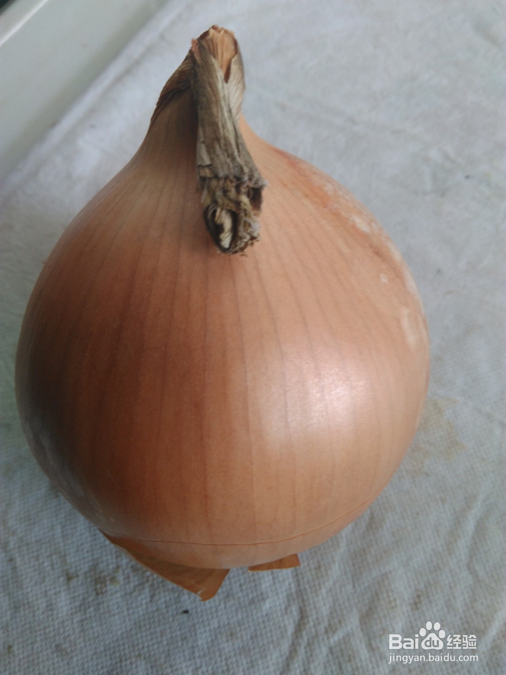 肉末洋葱怎么做才好吃