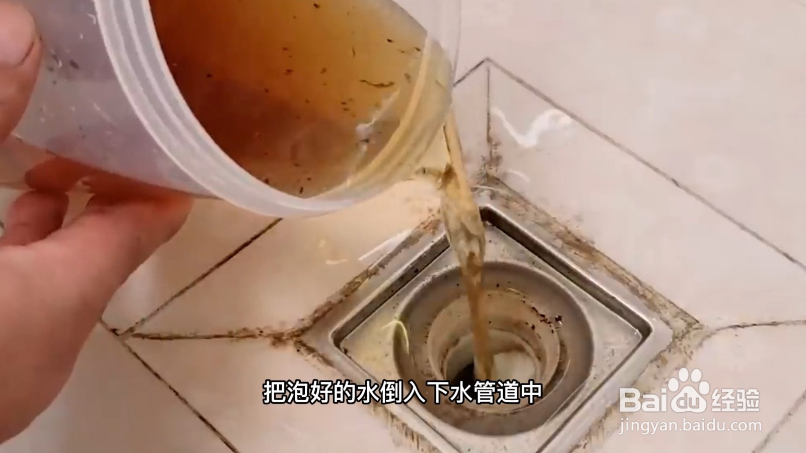 蚂蚁怎么能彻底消灭