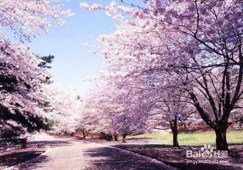 大学里如何和老乡正确相处,这些方法管用!