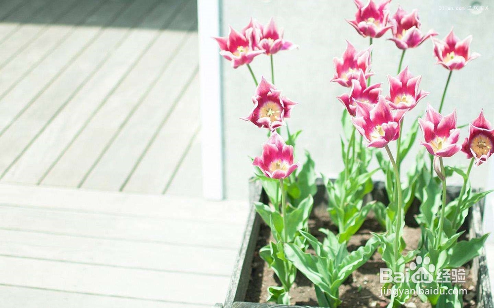 12星座如何应对七年之痒？有你要的答案