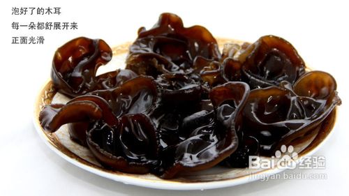 教您识别东北黑木耳