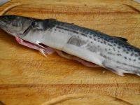 红烧鲅鱼的做法