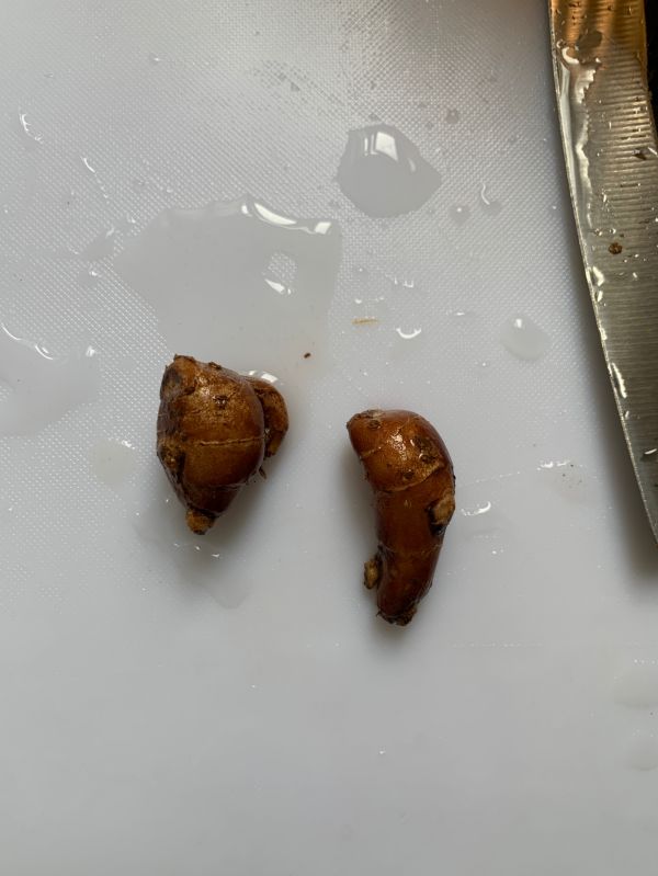 扇贝干鲍鱼仔汤