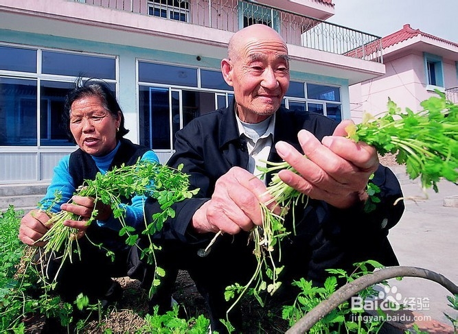 如何让肠道更年轻？如何判断肠道是否健康？