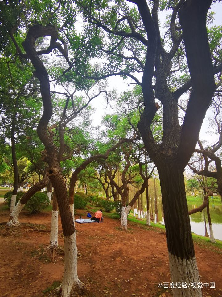 广州东站附近有什么好玩的景点