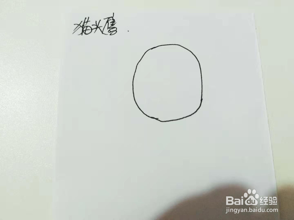 卡通猫头鹰简笔画怎么画呢