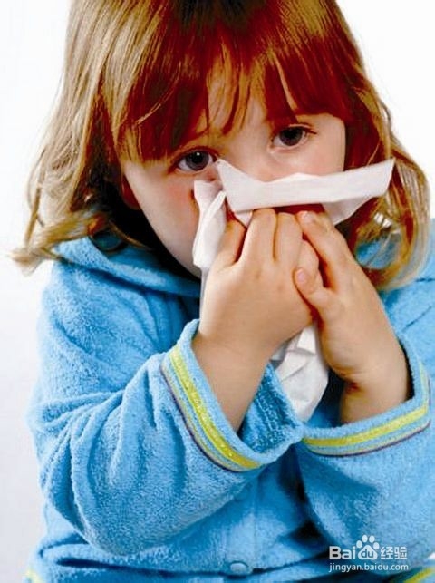 上海周边游攻略(千岛湖&森林氧吧)