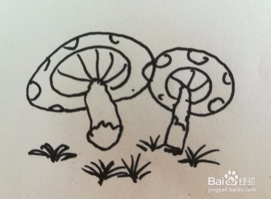 小巧玲珑的蘑菇，简笔画步骤怎么画