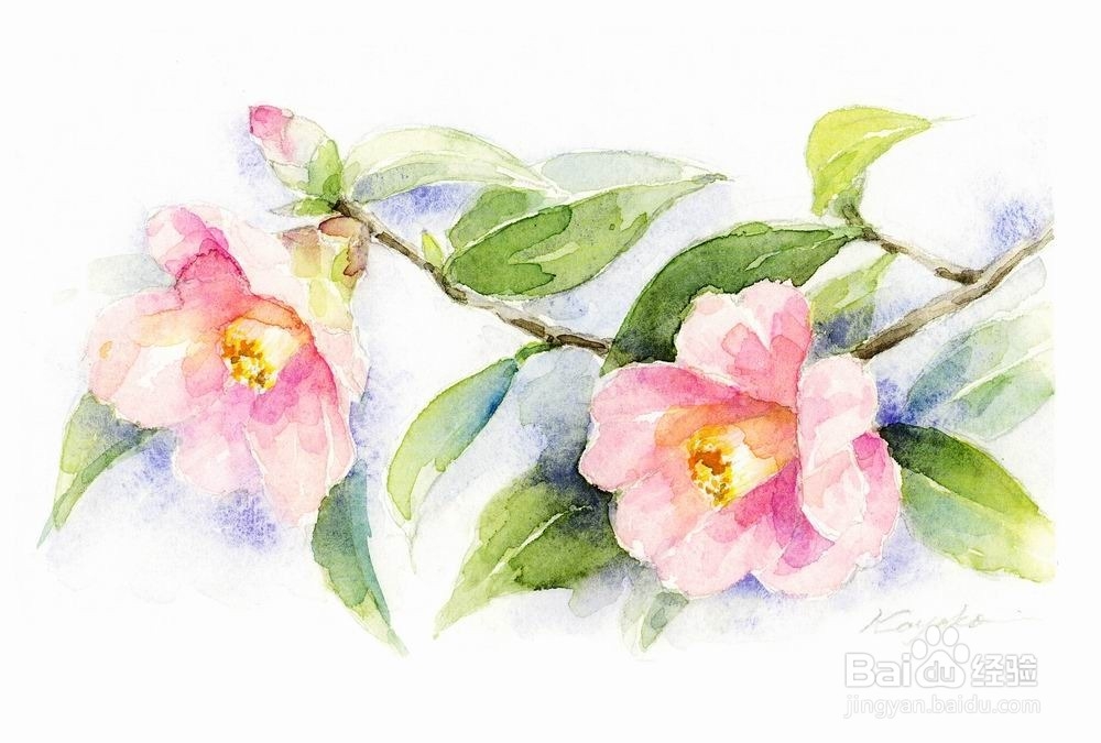 女人病，女人自己治