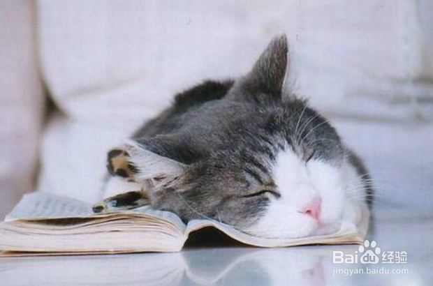 如何快速进入睡眠？