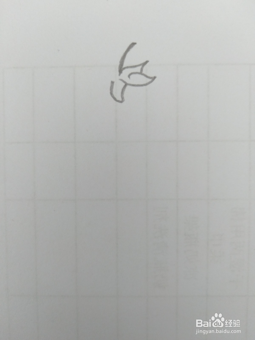 简笔画柿子画法二