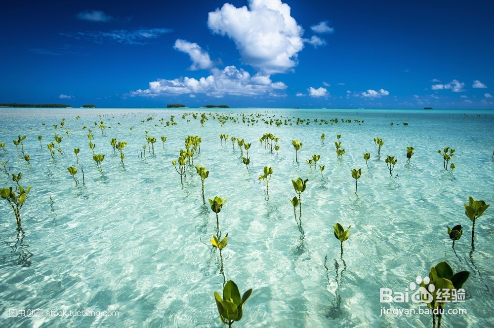 固体饮料怎么吃